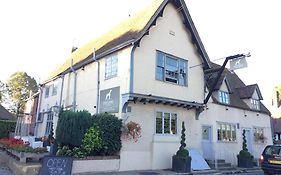The Dog At Wingham